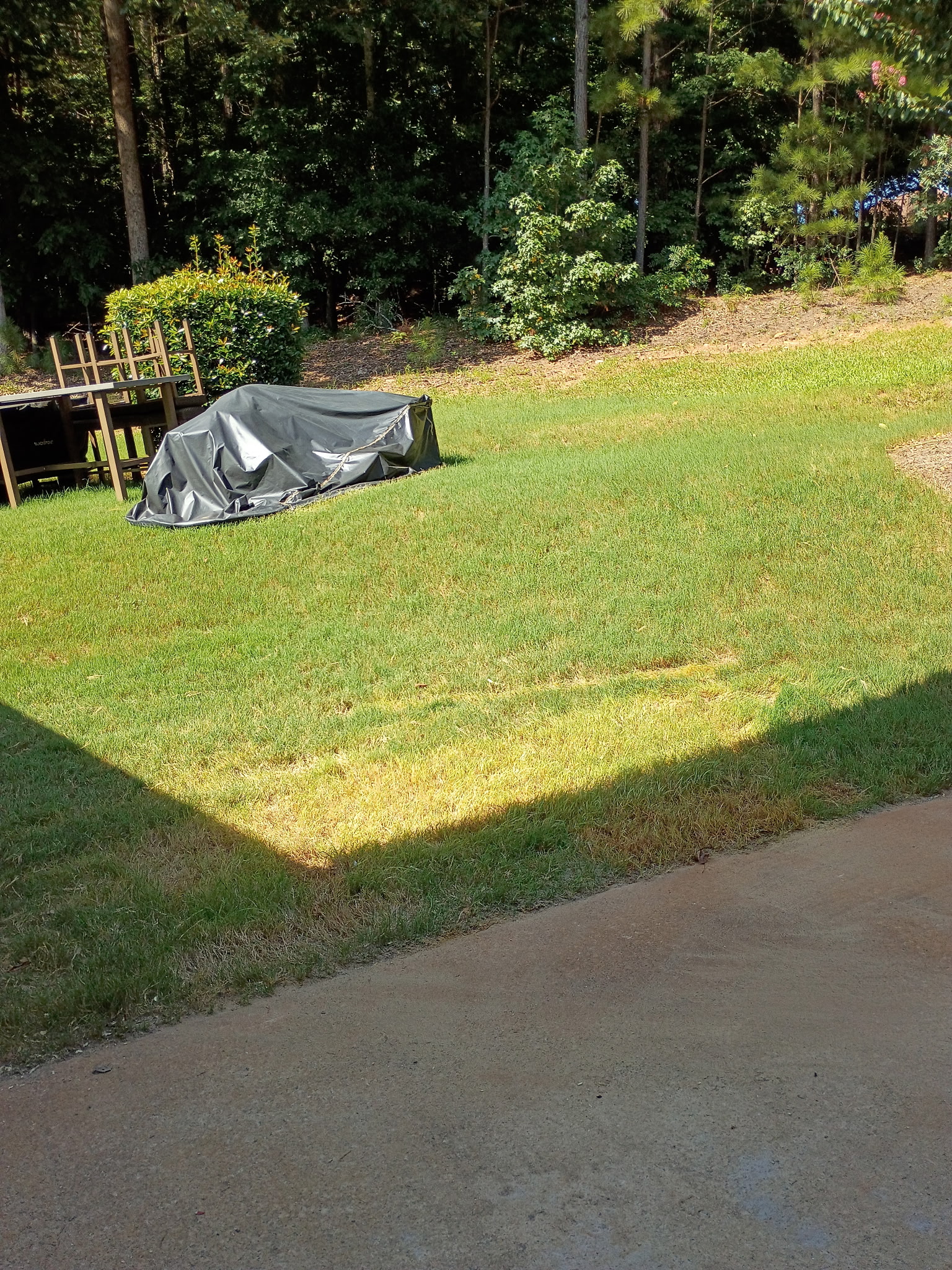 Talkin'Trash junk removal junk removal