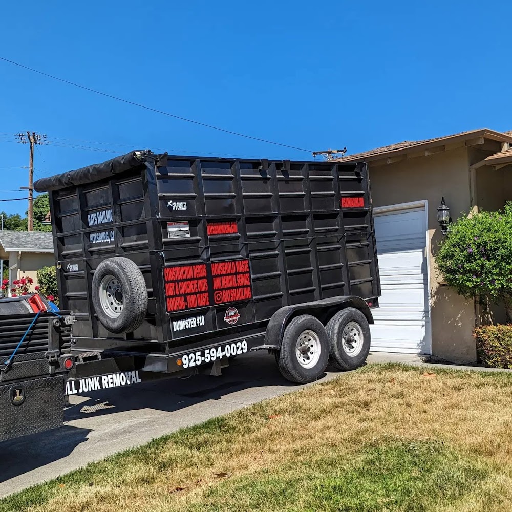 Rays Hauling junk removal