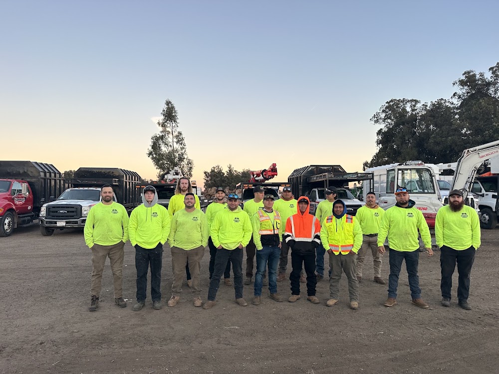 Paradise Tree Service junk removal