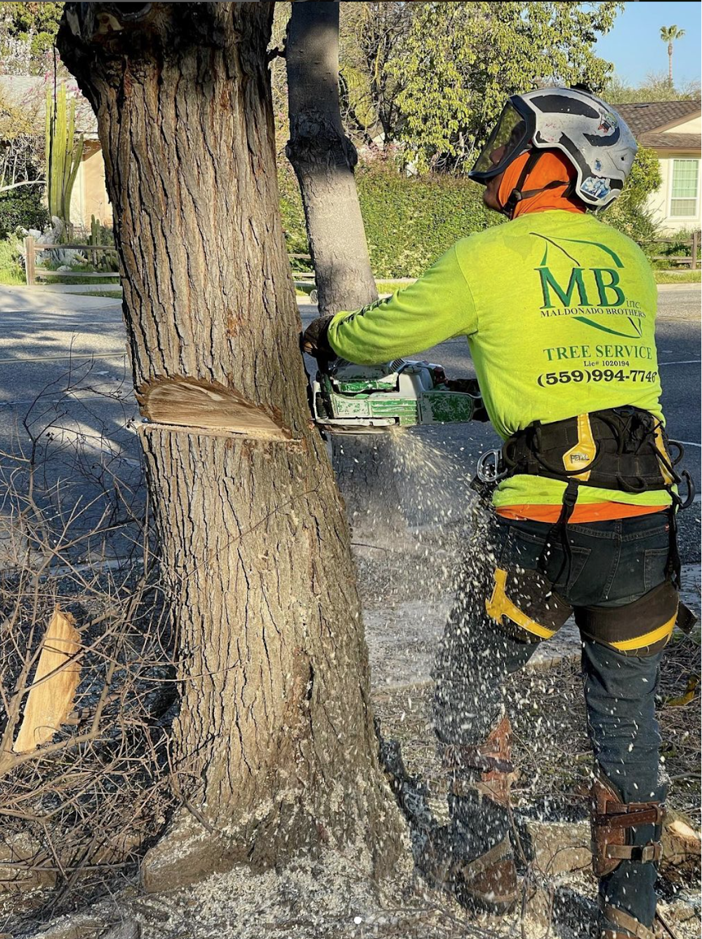 Maldonado Brothers Tree Service junk removal