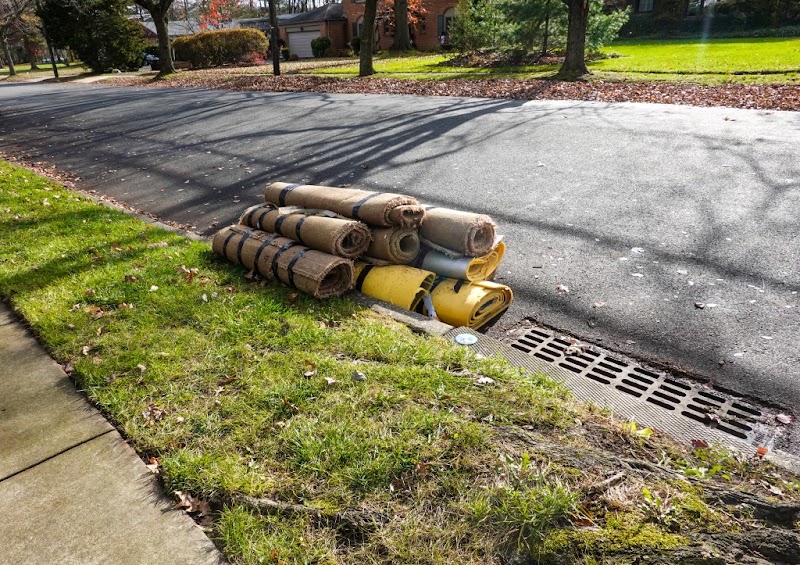 Cleanup Guys Junk Removal junk removal