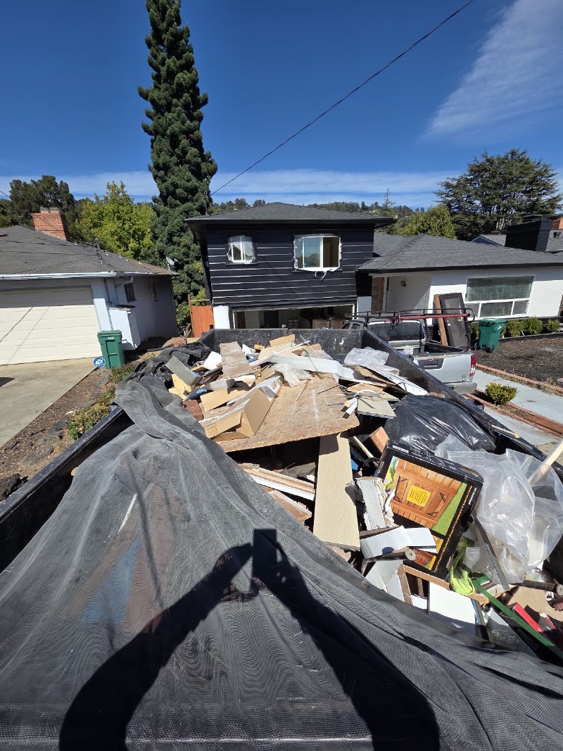 Junk Gone Bananas - Junk Removal junk removal