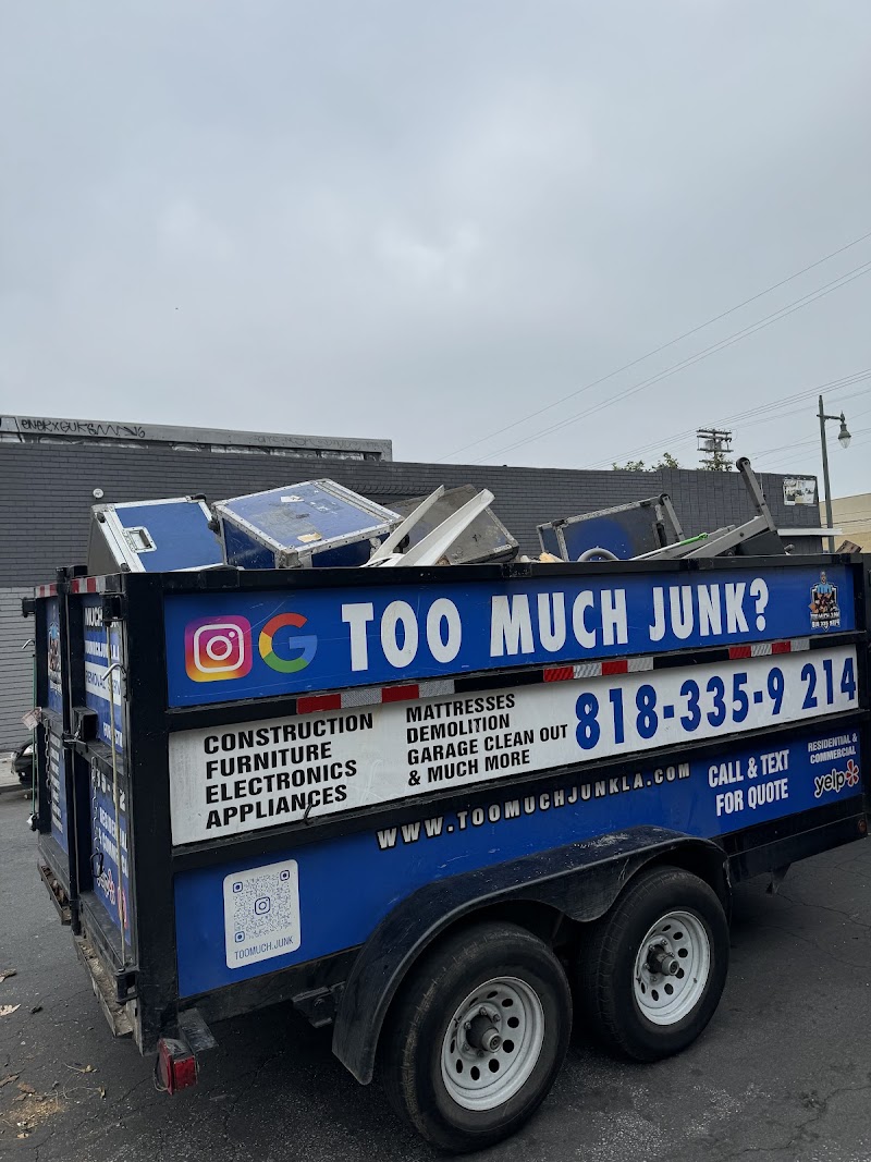 TOO MUCH JUNK junk removal