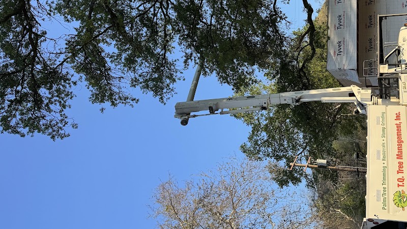 T.Q. Tree Management inc junk removal