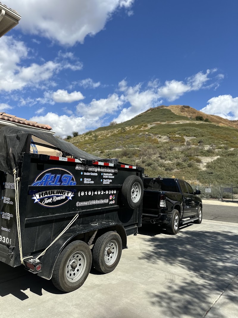 All In Hauling & Junk Removal junk removal