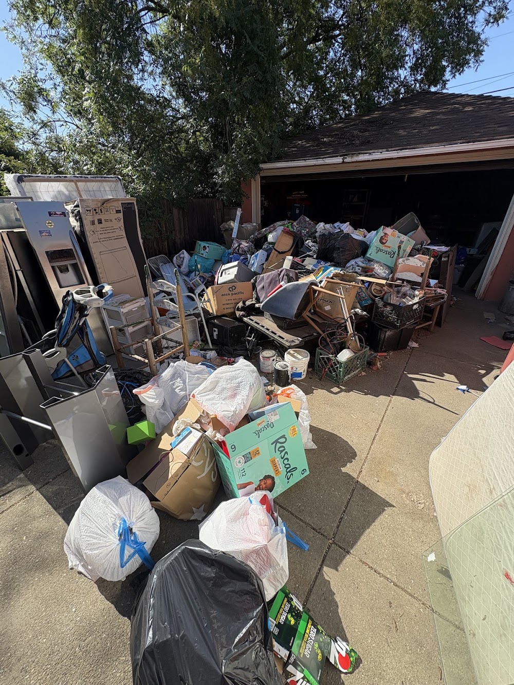 Bin Friendly Junk Removal junk removal