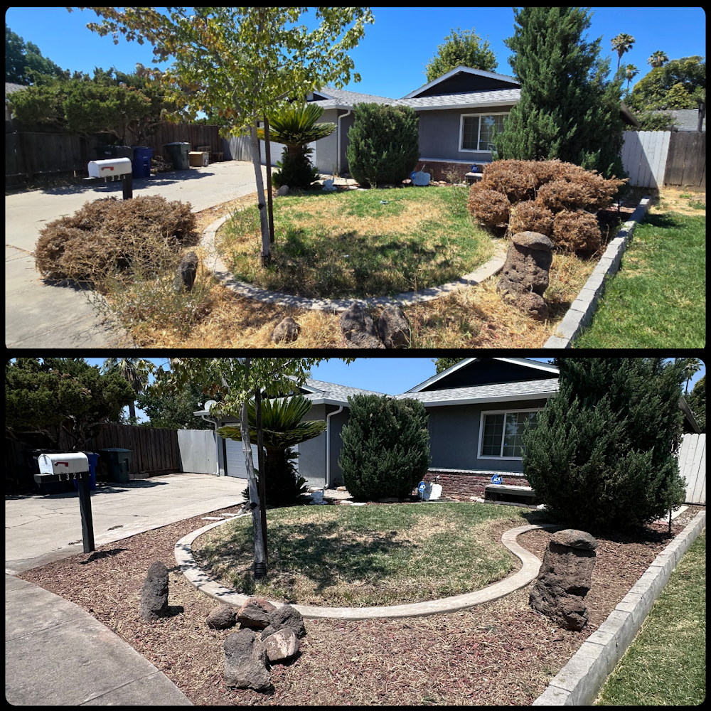 Tesoro Pristine Property Clean LLC junk removal