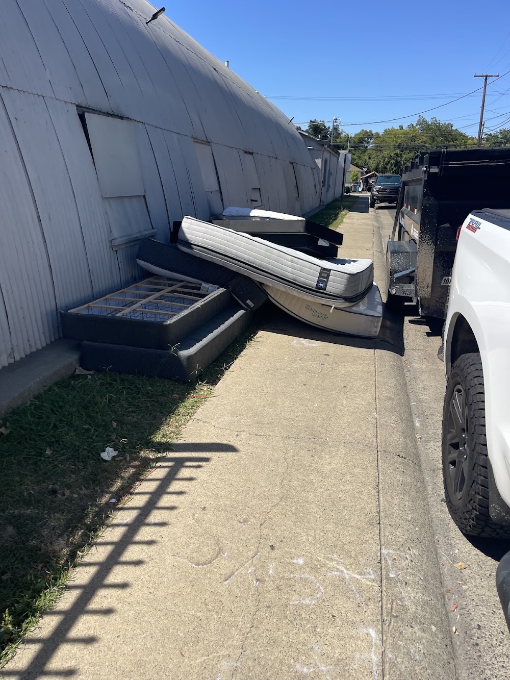 Junk Dogs junk removal