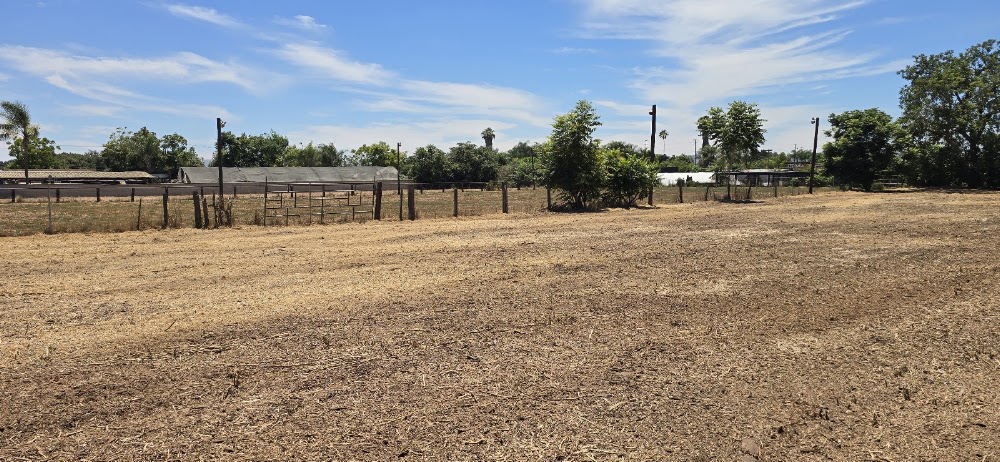 Holy Cow Weed Abatement junk removal