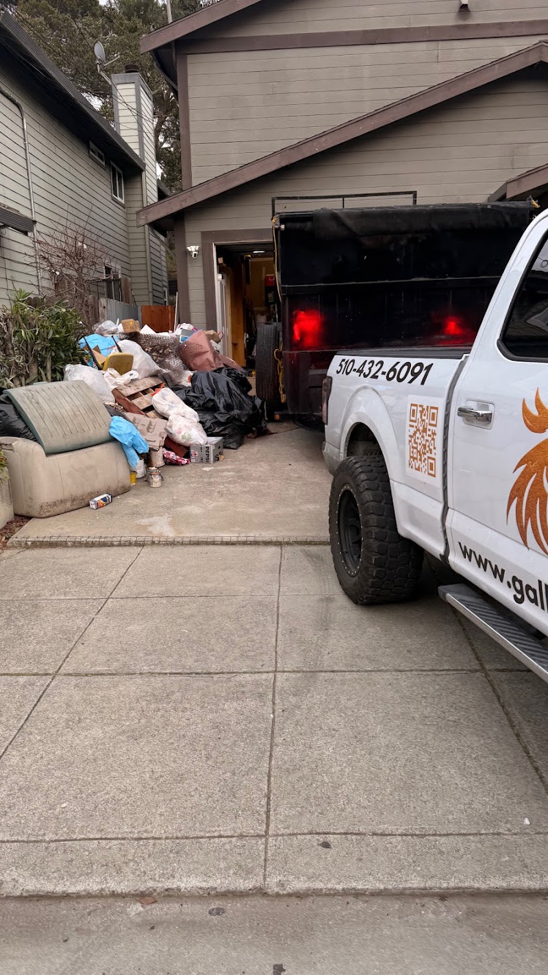 Gallo Junk Removal junk removal