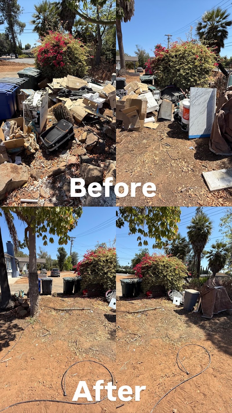 Clear Space Junk Solutions junk removal