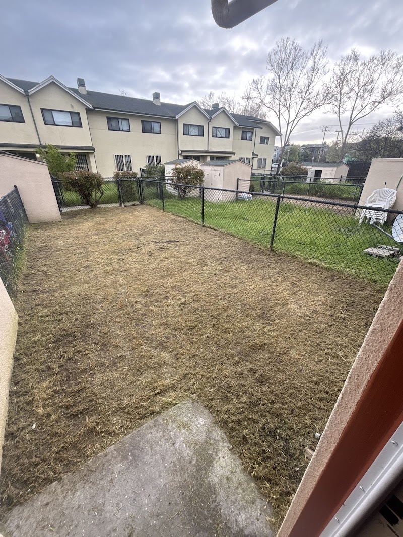 Junk Expert & Quality Landscape junk removal