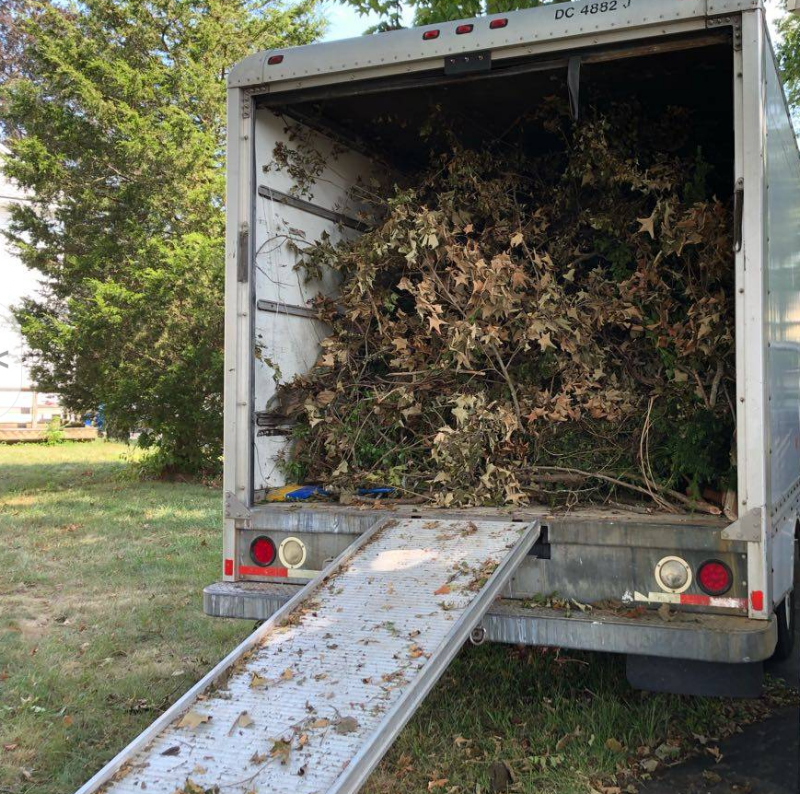 Silver Lake Junk Removal junk removal