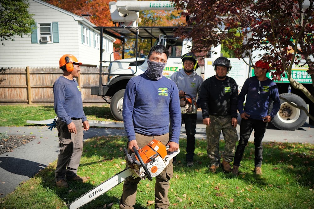Juarez Landscaping and Tree Services junk removal