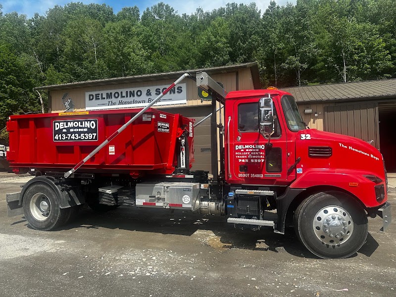 Delmolino & Sons Rolloff Rentals and Trash Removal junk removal