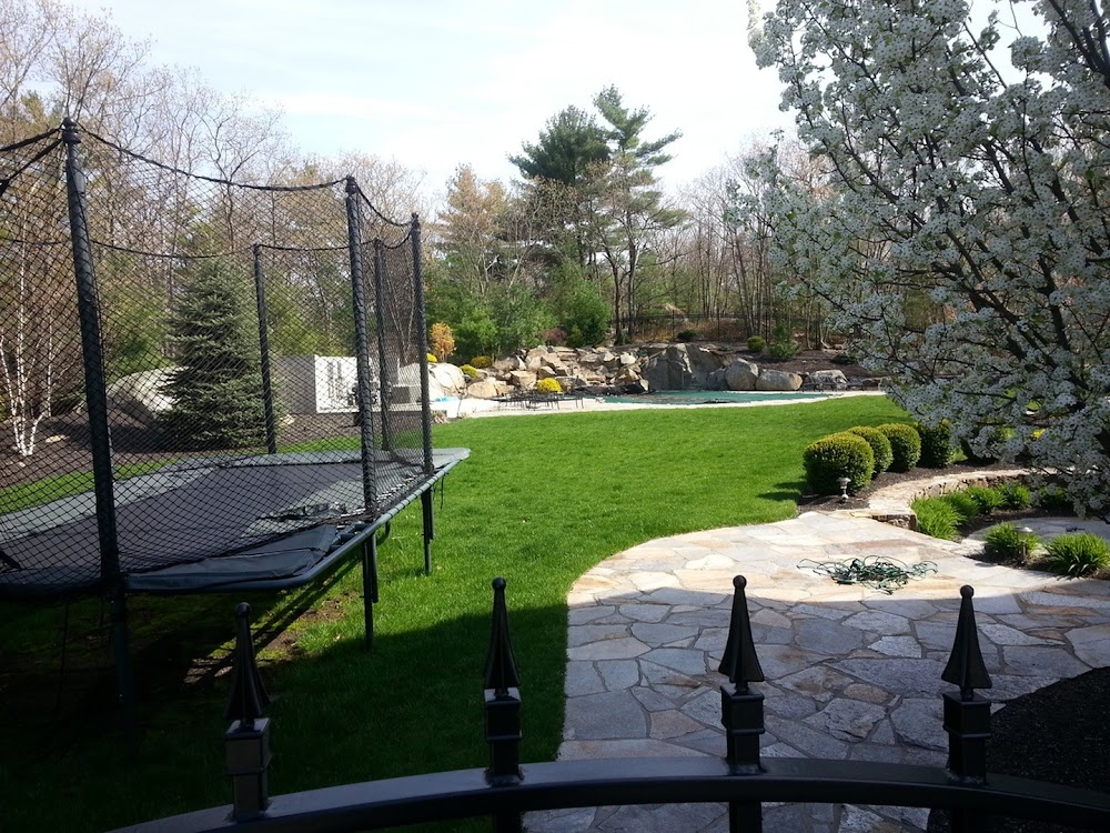 Steve's Services Landscaping & Snow Removal junk removal