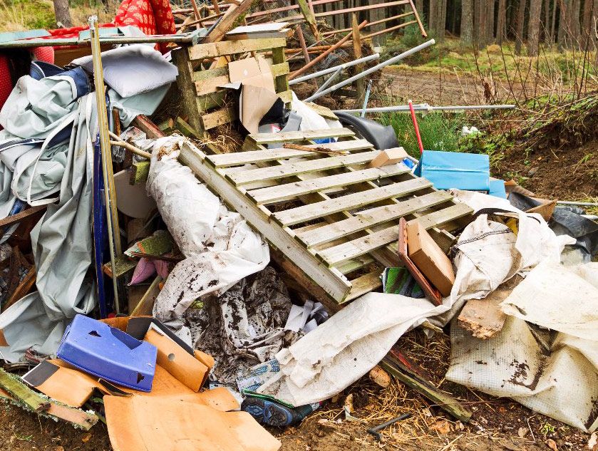 Big Junk Guy junk removal