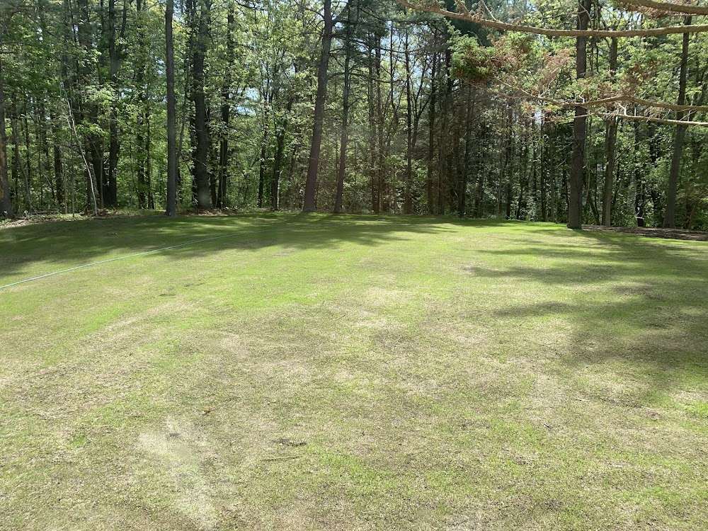 DeStefano Landscape & Snow Company junk removal