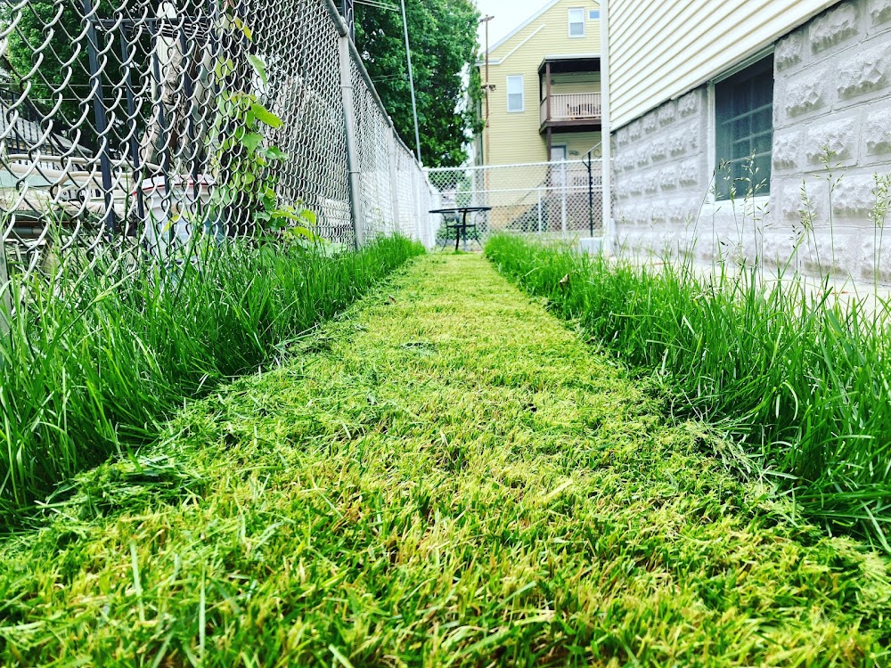 New England Yard Care & Junk Removal junk removal