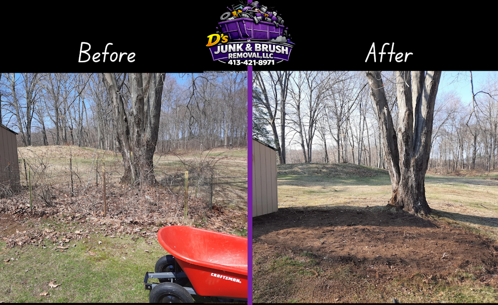 Ds Junk and Brush Removal, LLC junk removal