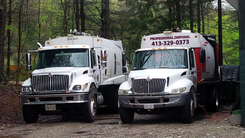 Professional Disposal junk removal