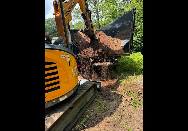 Raptor Removal Services junk removal
