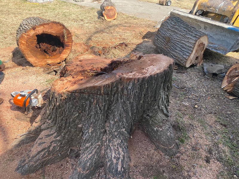 Albarran Tree Services junk removal