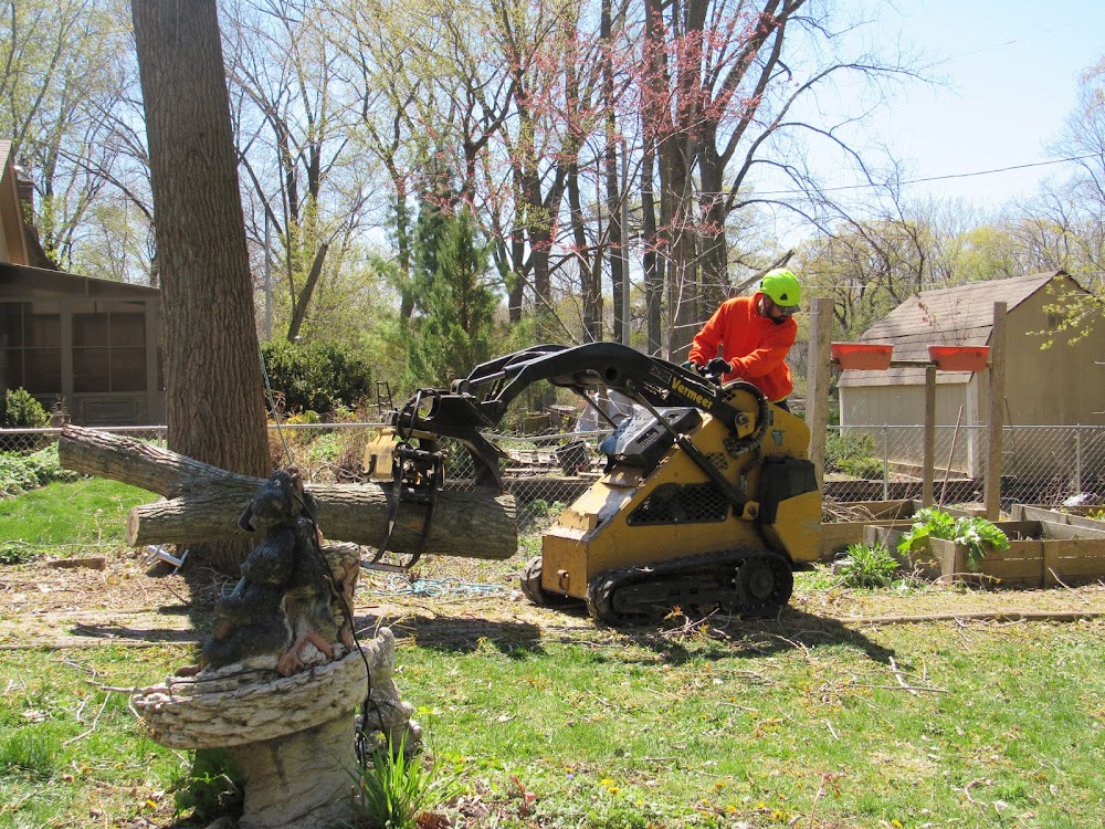 Flight Tree Service Inc junk removal