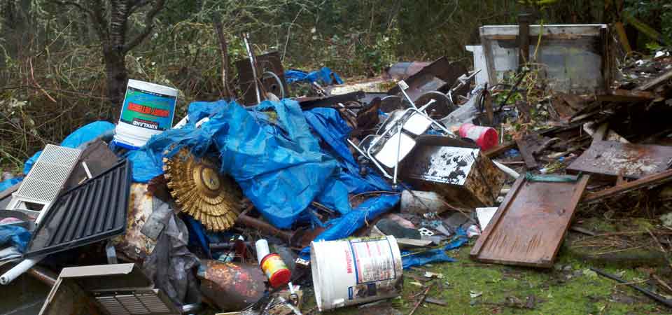 Home Clean junk removal