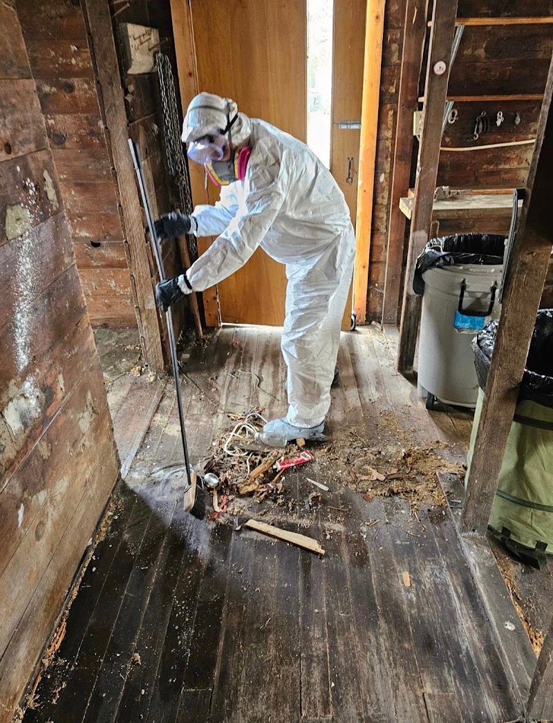 Dump It Hoarding Cleanup Services junk removal