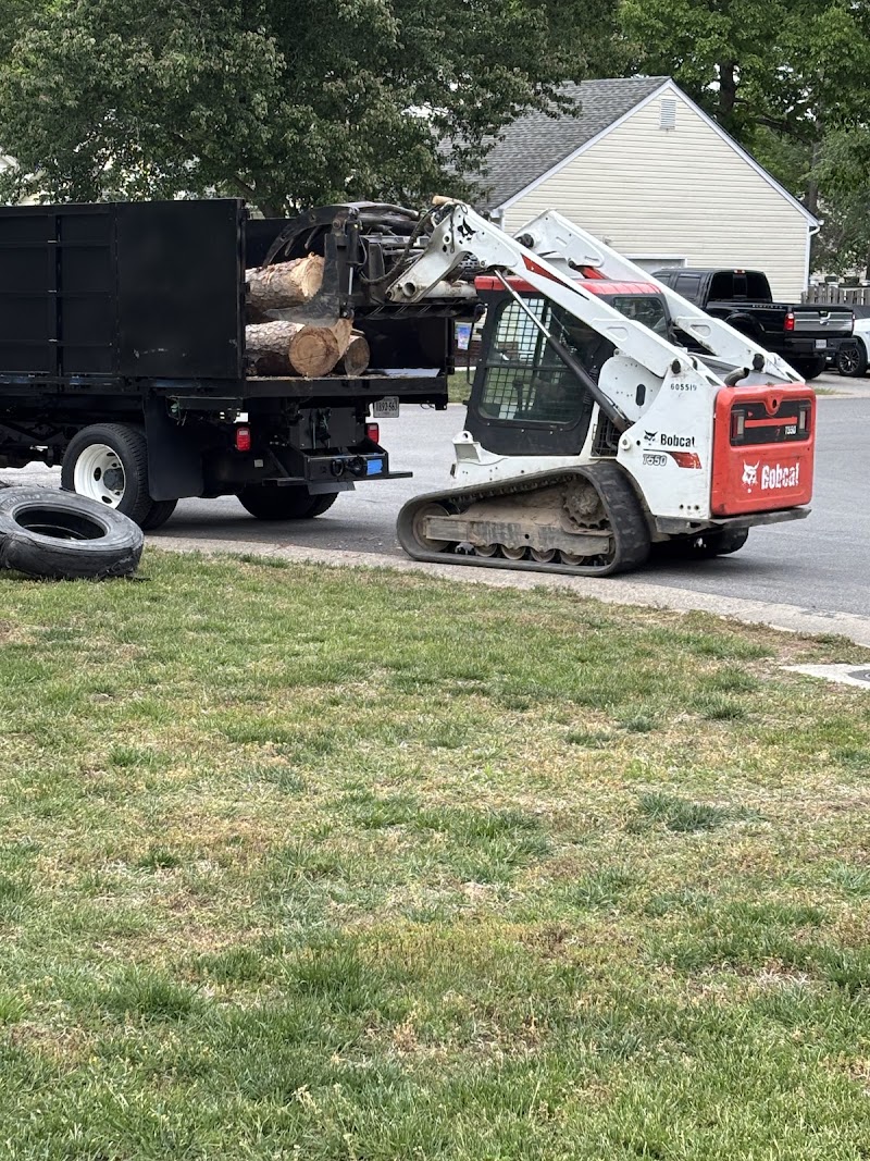 Spring Landscape Tree Service junk removal