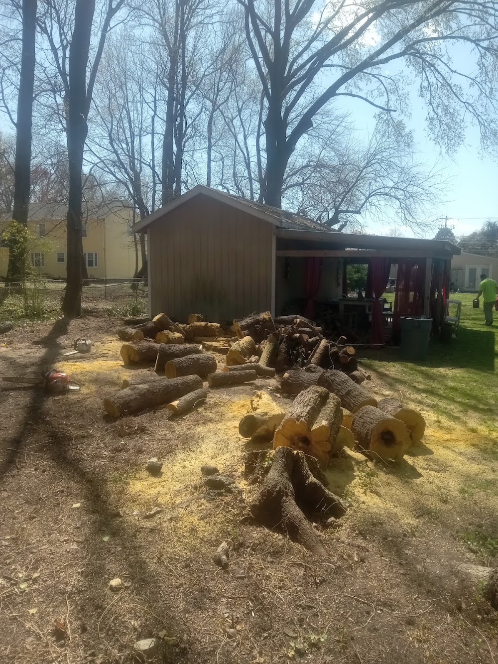Cut ‘Em Down Tree Service junk removal