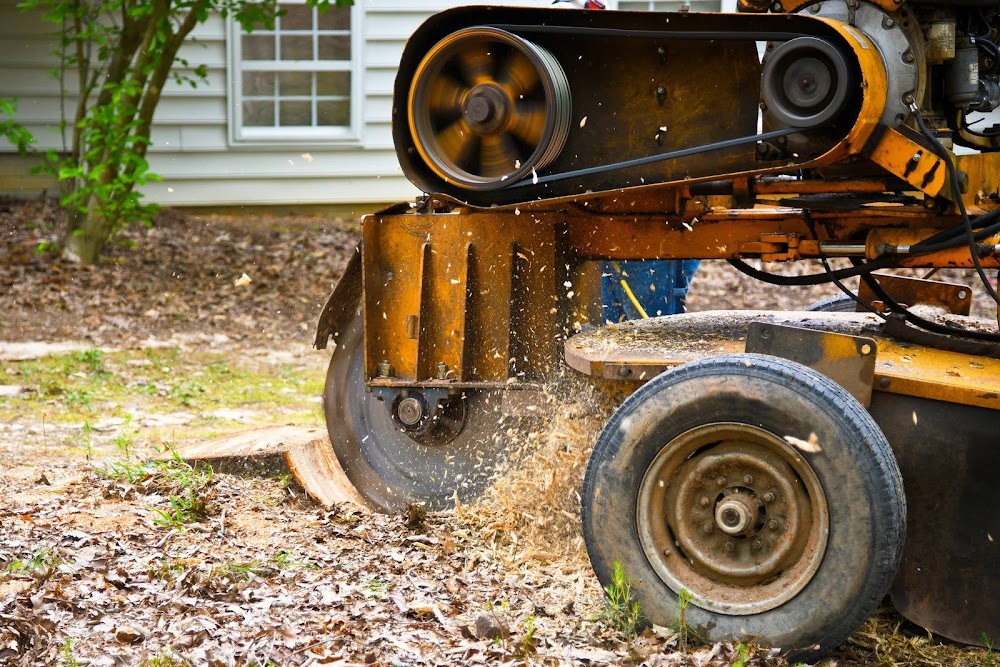 Time's Up Tree Experts , LLC junk removal