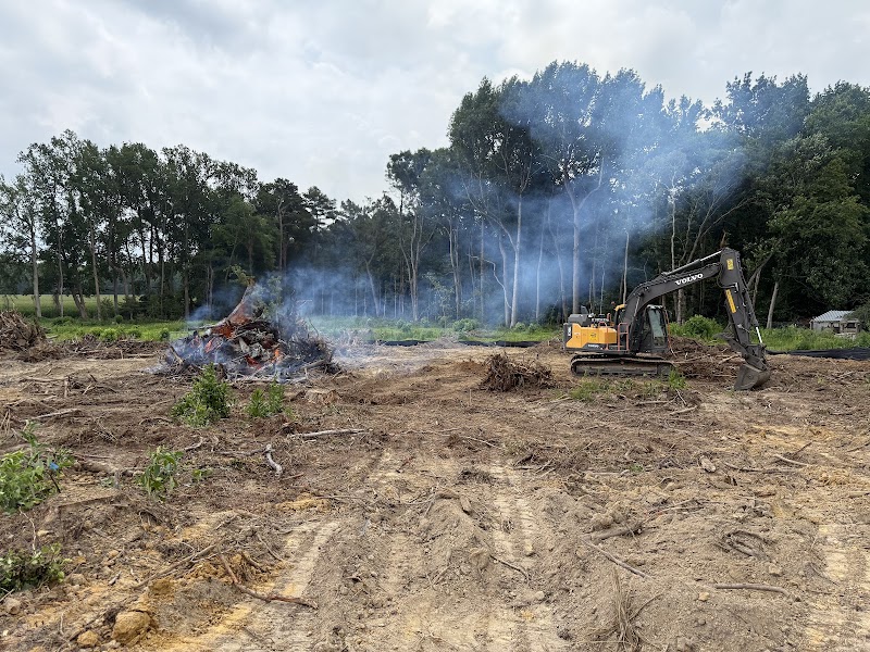 Branch X Branch Land Clearing junk removal