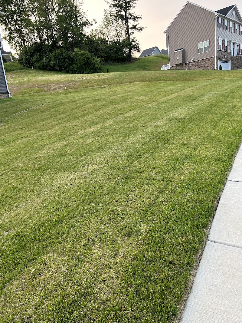 By Any Means Lawn Care and Junk Removal DC, Maryland, Virginia junk removal