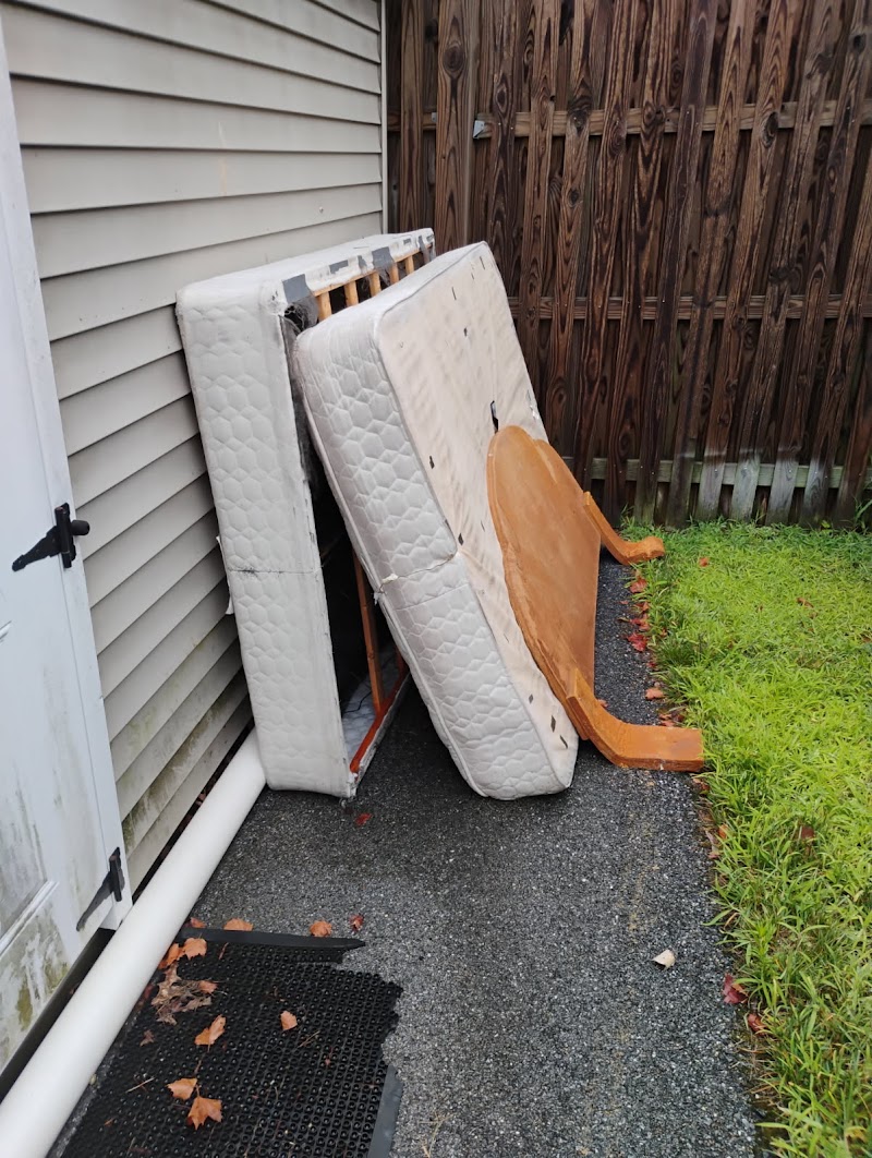 Beeline Hauling & Junk Removal, Washington, DC junk removal