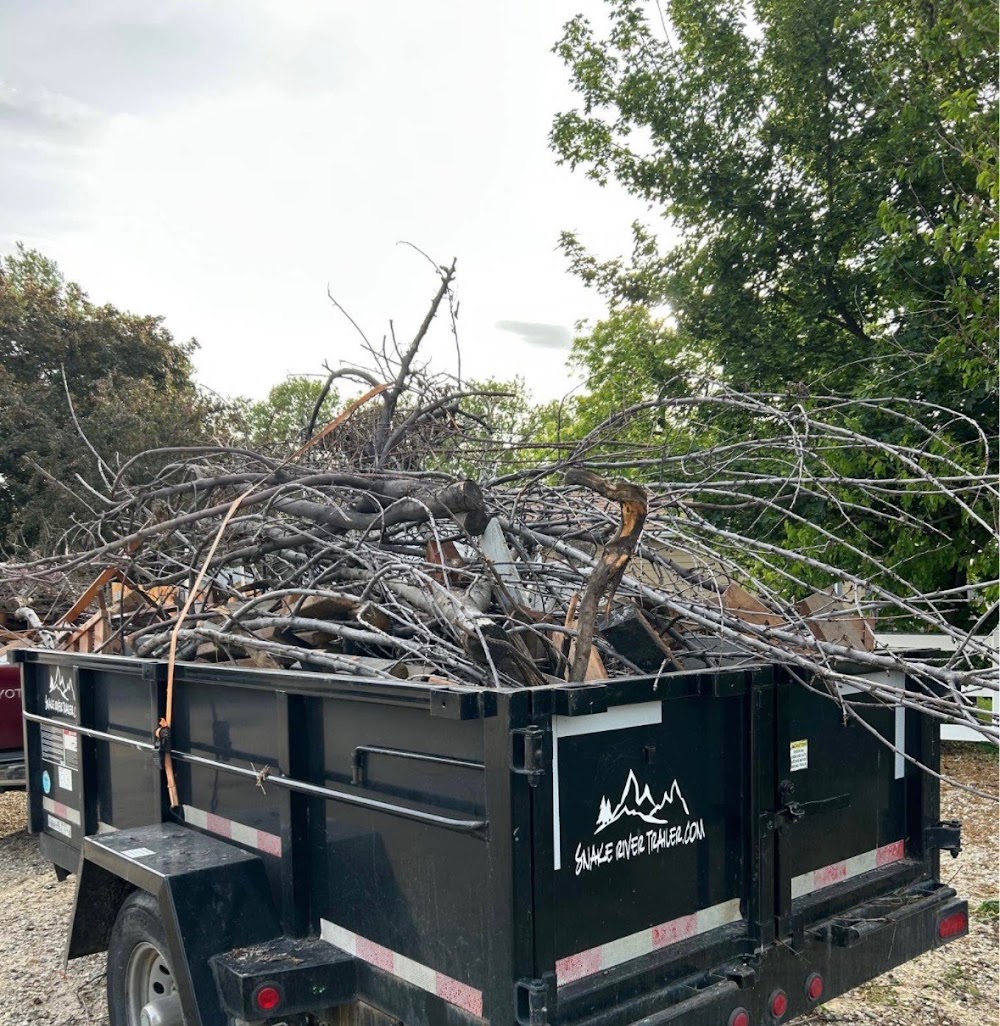 Dump It Junk Removal Services junk removal
