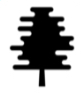 K&M Tree Services LLC junk removal