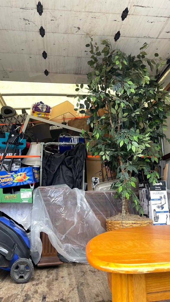 Apollos Moving junk removal