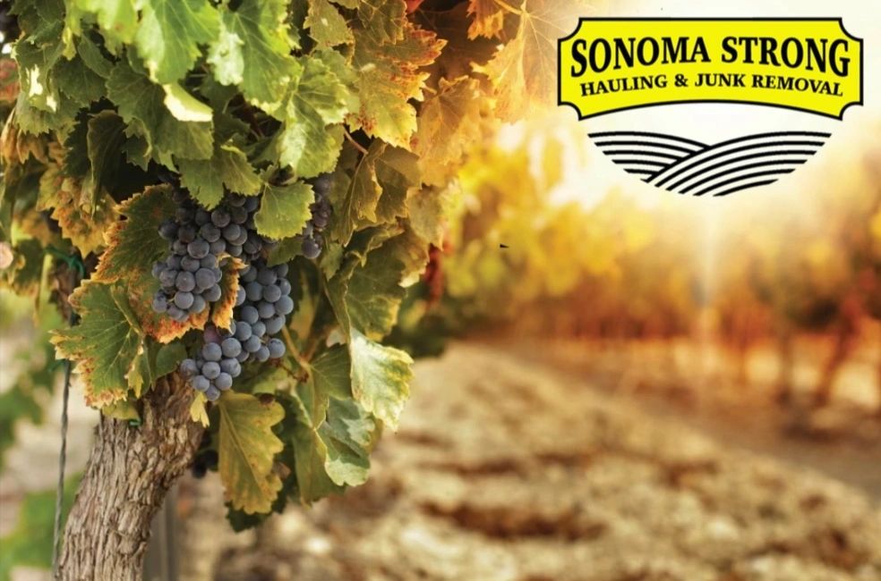 Sonoma Strong Hauling & Junk Removal junk removal