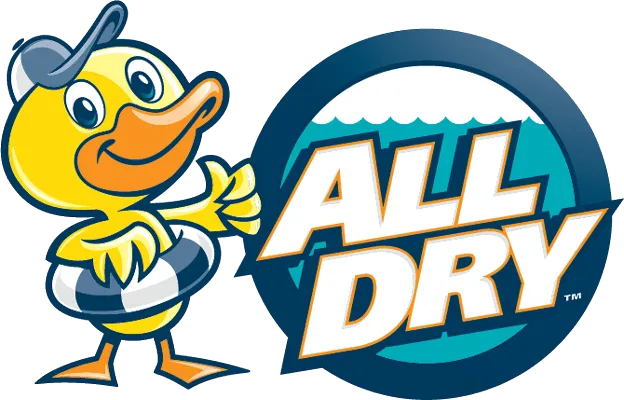 All Dry Services junk removal