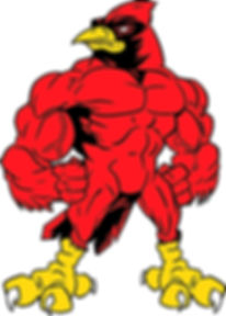 Cardinal Hauling/Junk Removal junk removal