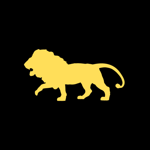 Lion Strong Junk Removal junk removal