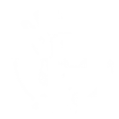 Maddogg Junk Removal junk removal