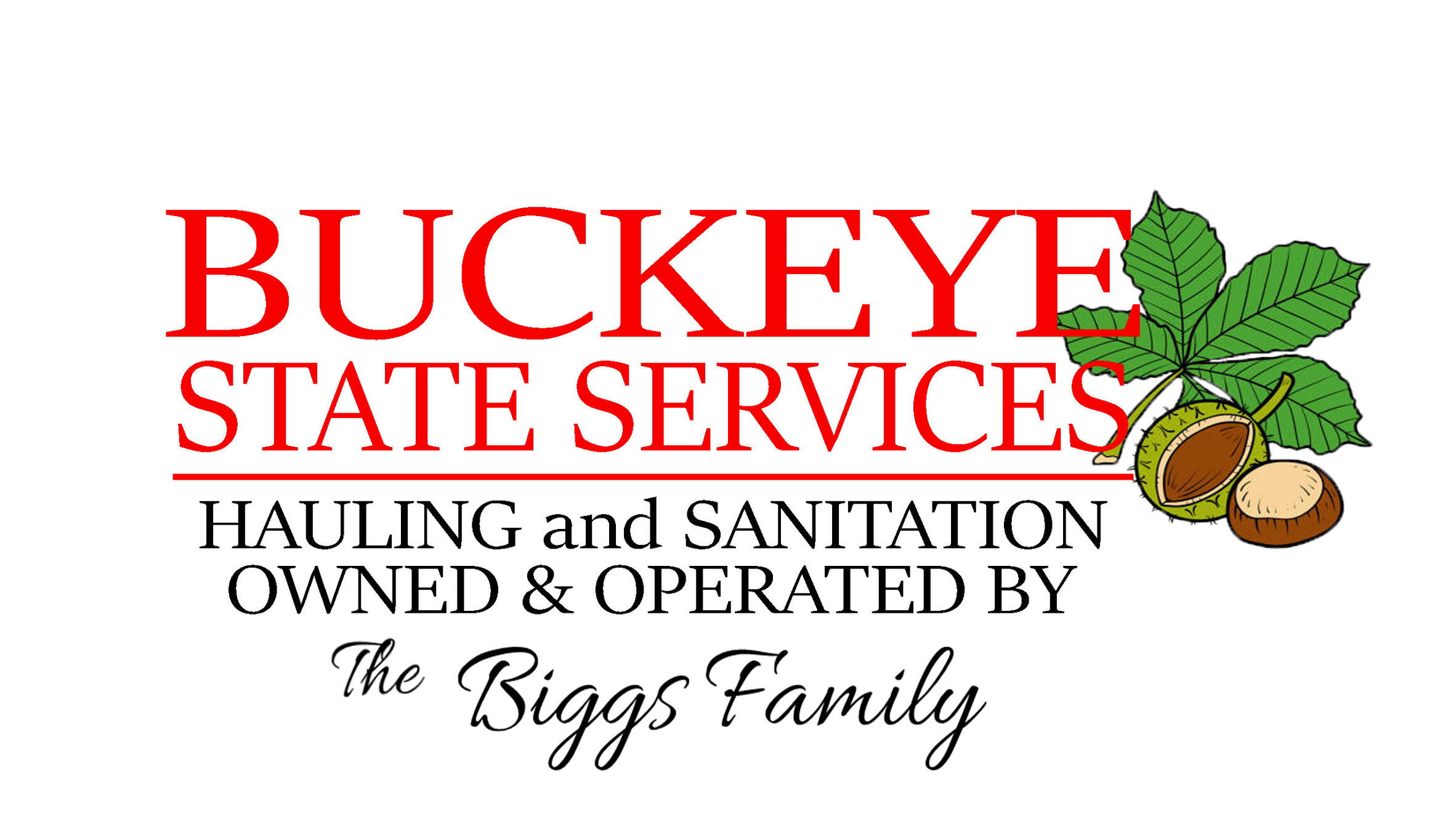 Buckeye State Services junk removal