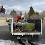 ChIJ3brj3cF JQwR FJ3hNlLI5A 7 150x150