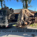 ChIJremW0xWVQIYRGfmzj YoDKI 6 150x150