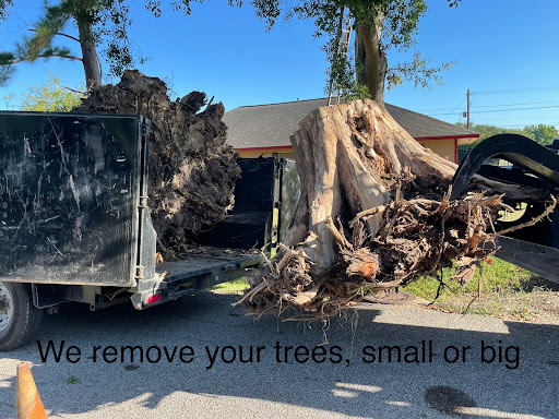 ChIJremW0xWVQIYRGfmzj YoDKI 6